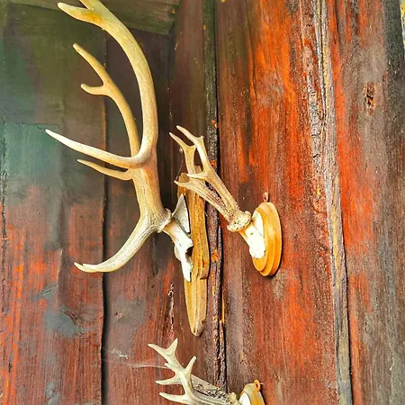 Finnhuette Bei Greta Marl (Recklinghausen)